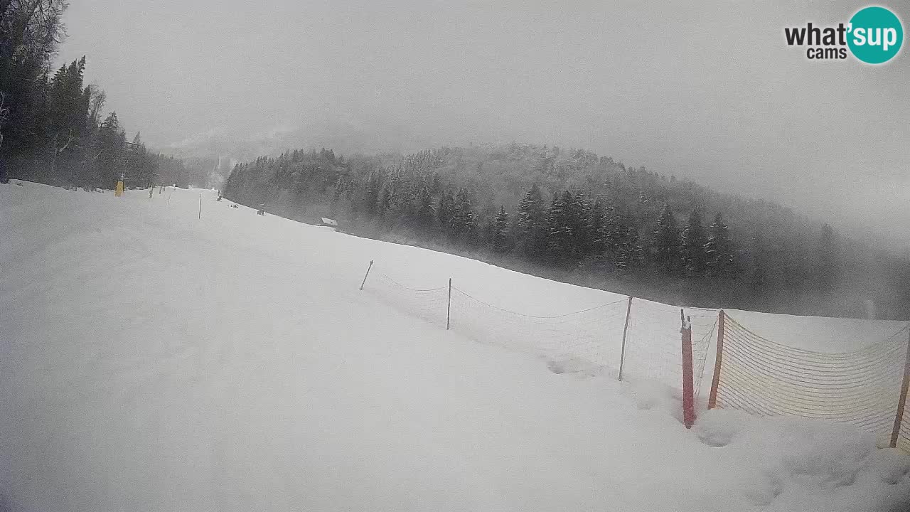 Kranjska Gora SKIJANJE | Brsnina