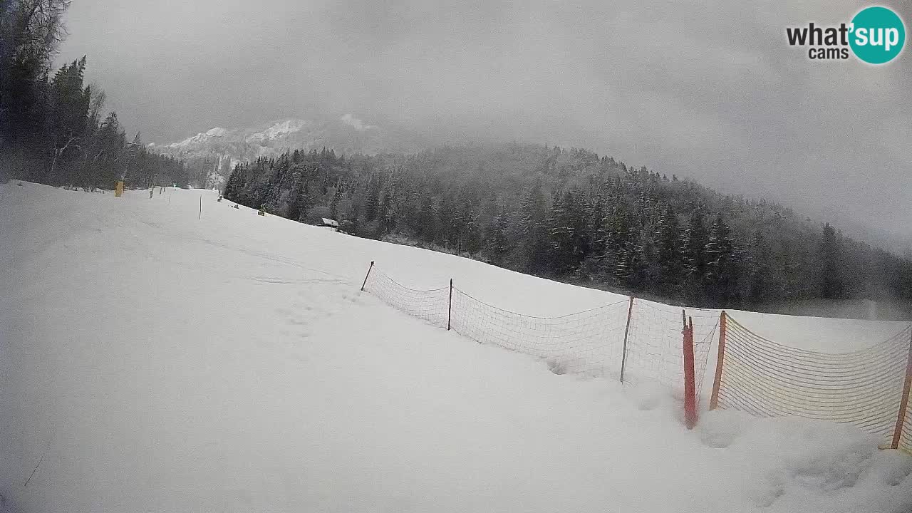 RTC Kranjska Gora | Brsnina