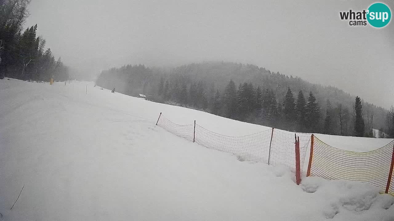 RTC Skigebiet Kranjska Gora | Brsnina