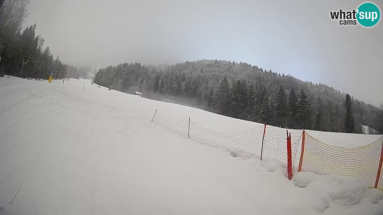 Comprensorio sciistico Kranjska Gora | Brsnina