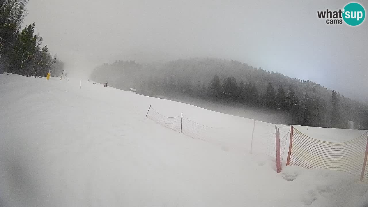 Kranjska Gora Station de ski | Brsnina