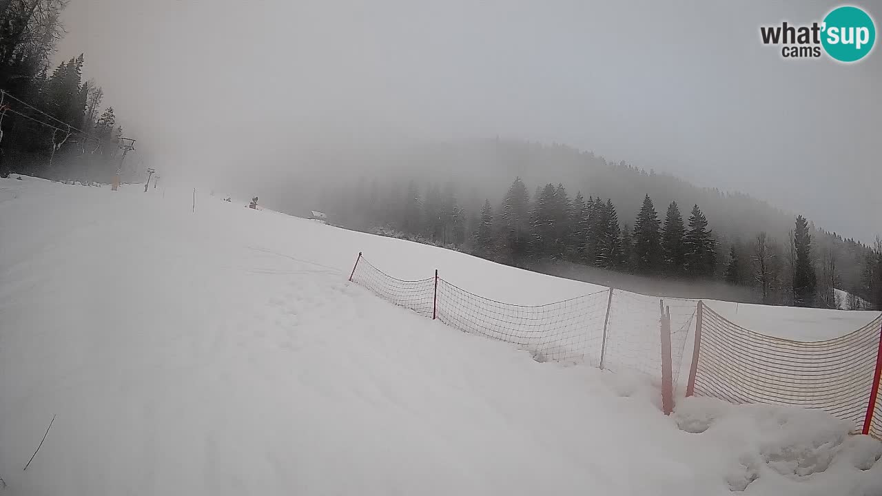 Esquí Kranjska Gora | Brsnina