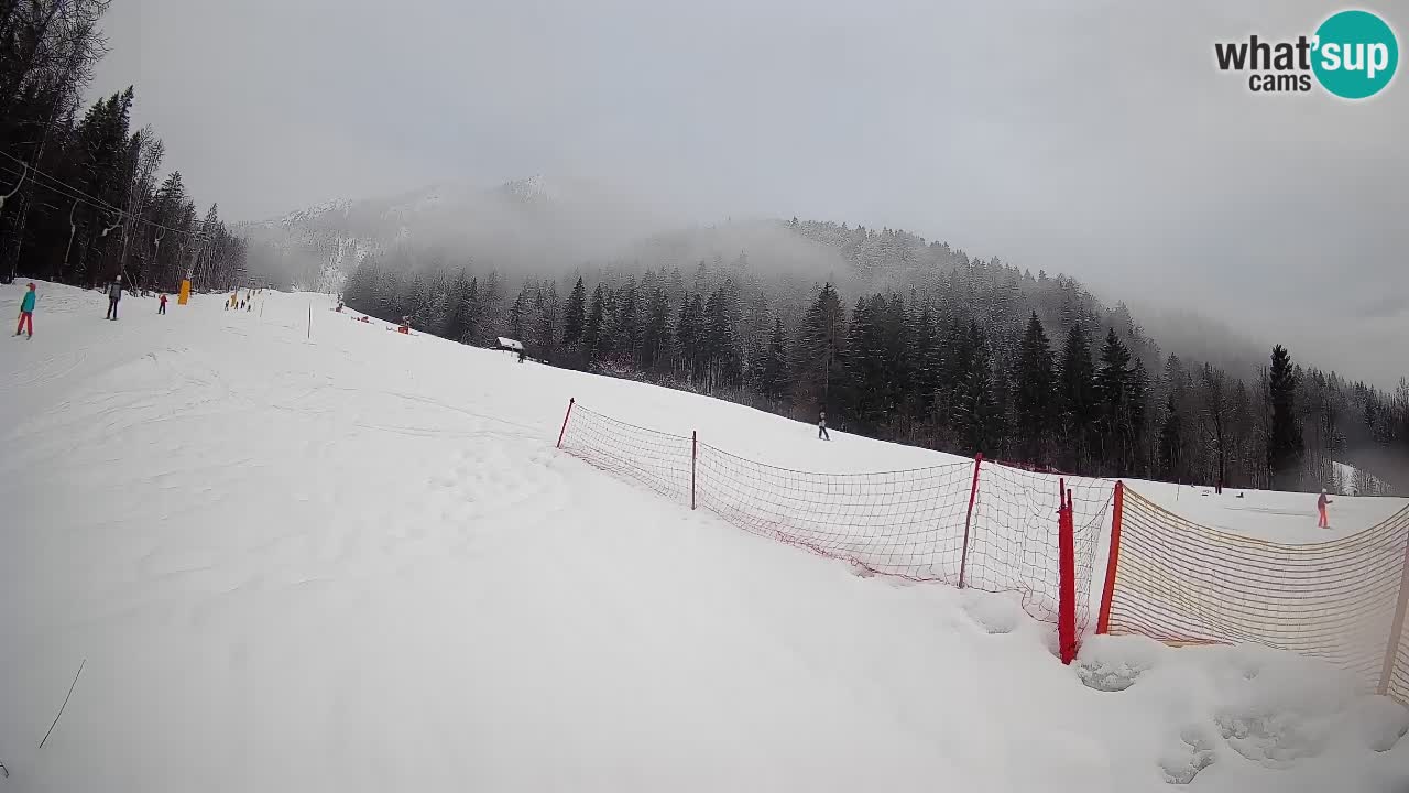 RTC Kranjska Gora | Brsnina