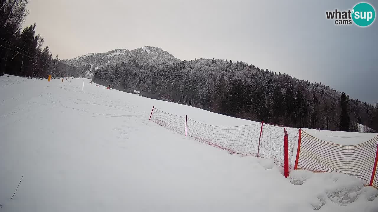 Esquí Kranjska Gora | Brsnina