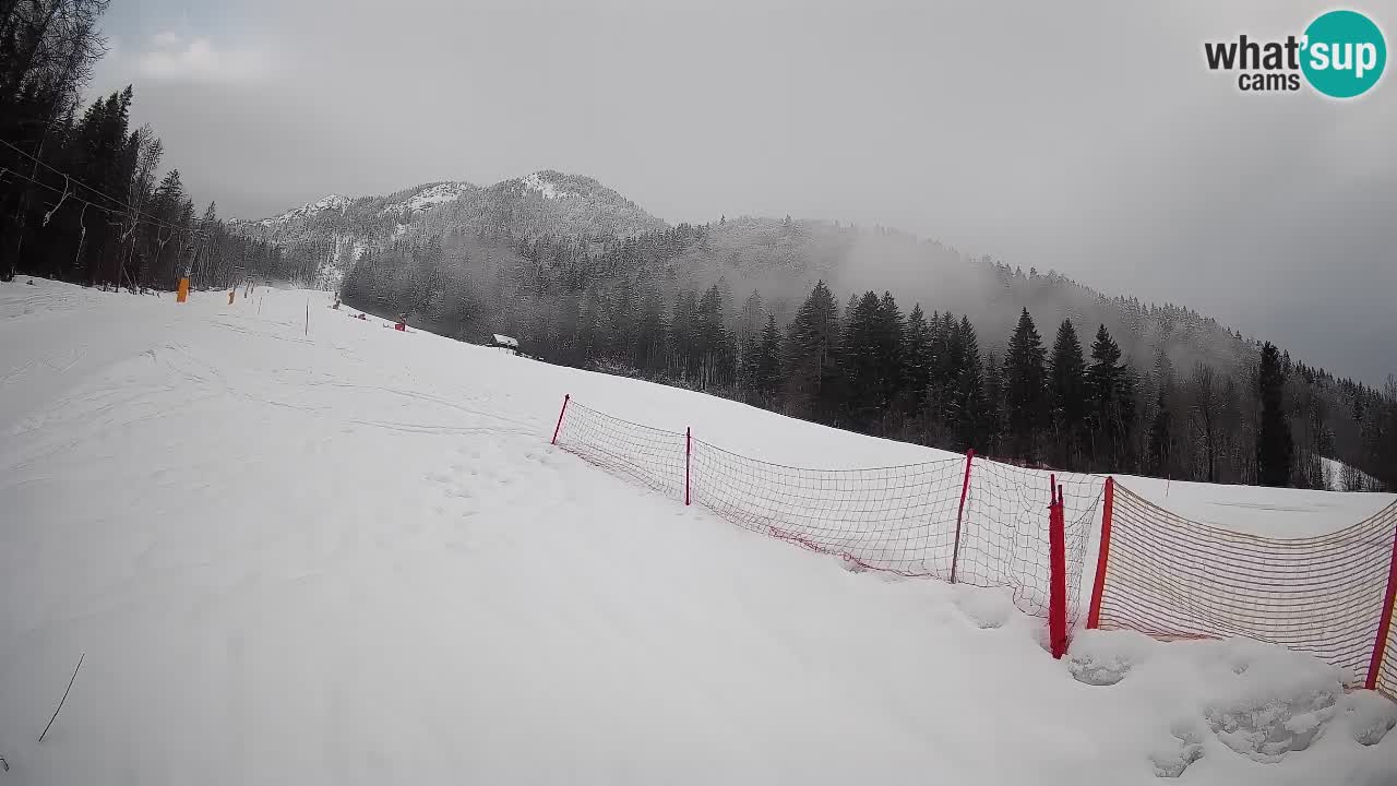 Esquí Kranjska Gora | Brsnina