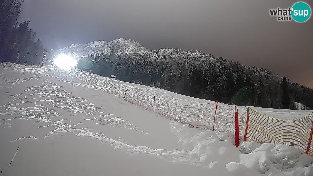 Esquí Kranjska Gora | Brsnina