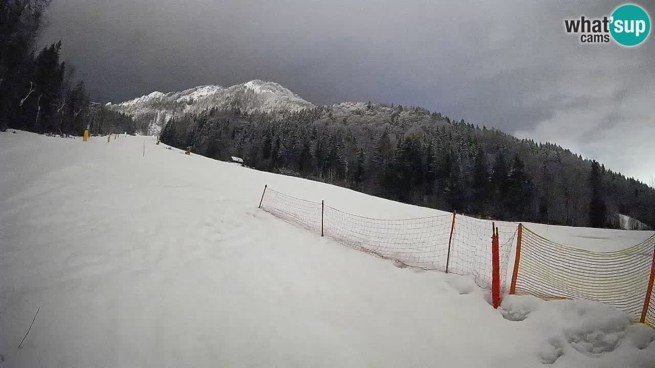 Esquí Kranjska Gora | Brsnina