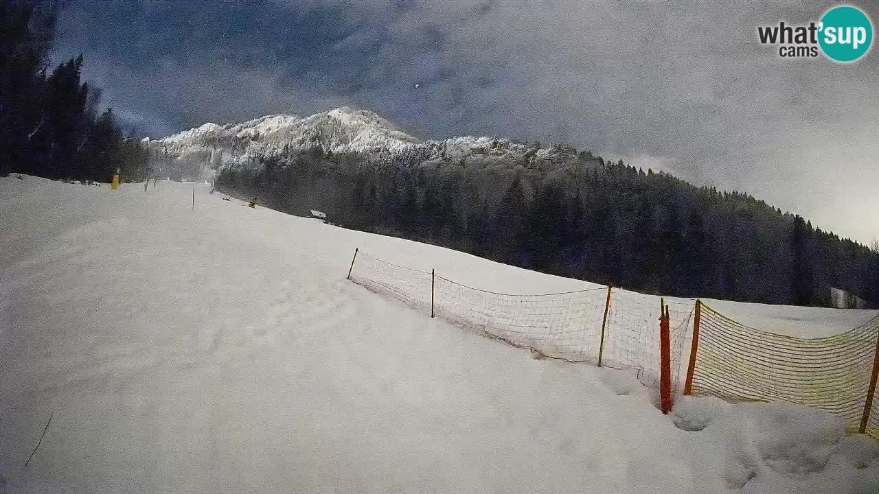 Kranjska Gora SKIJANJE | Brsnina