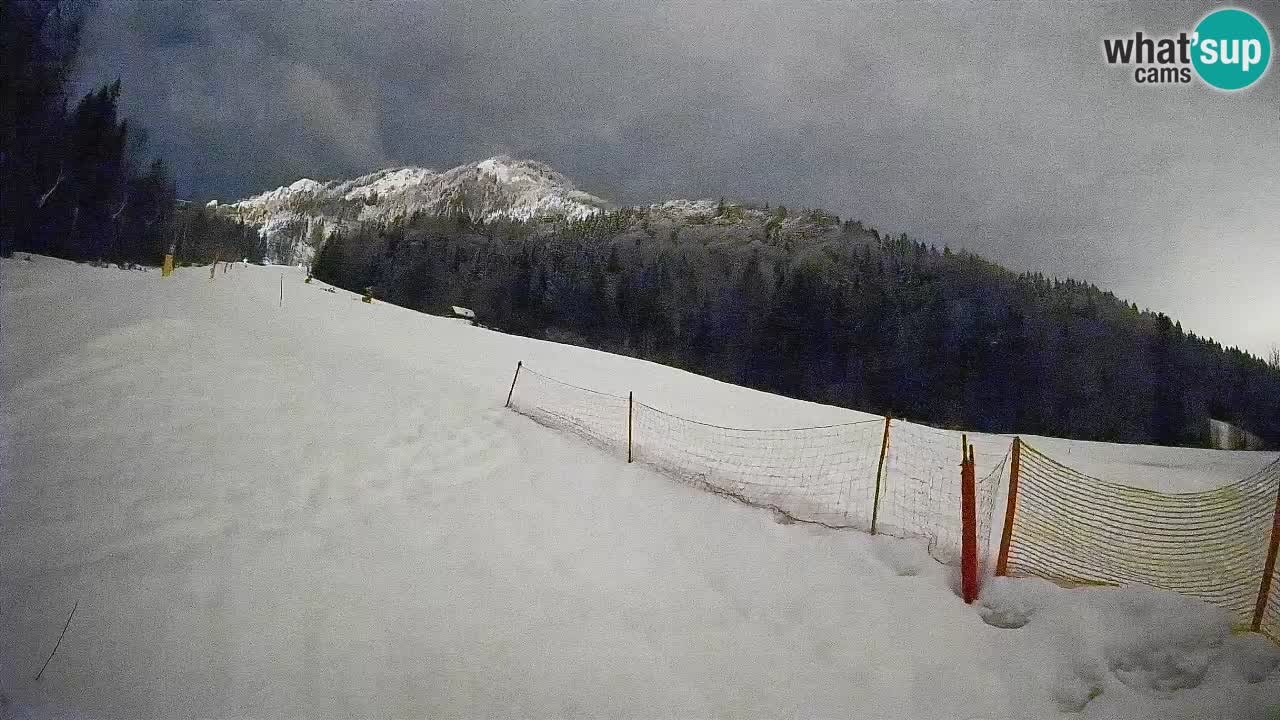 RTC Skigebiet Kranjska Gora | Brsnina