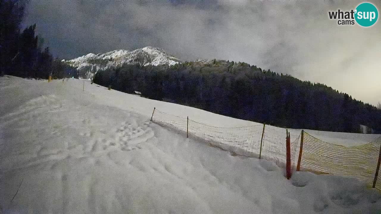 RTC Skigebiet Kranjska Gora | Brsnina