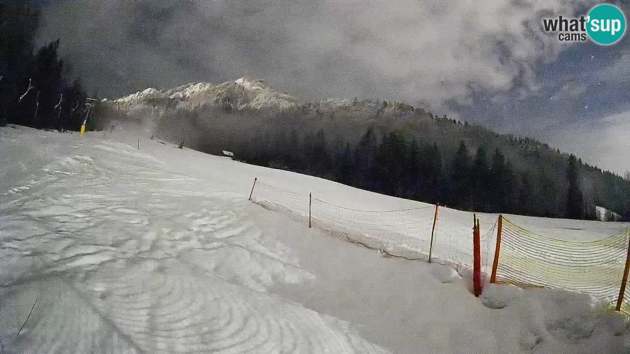 RTC Skigebiet Kranjska Gora | Brsnina