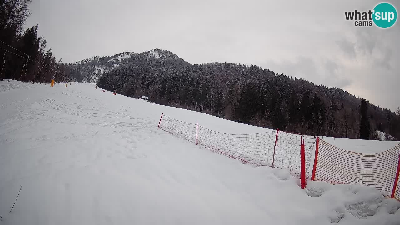 Kranjska Gora Station de ski | Brsnina