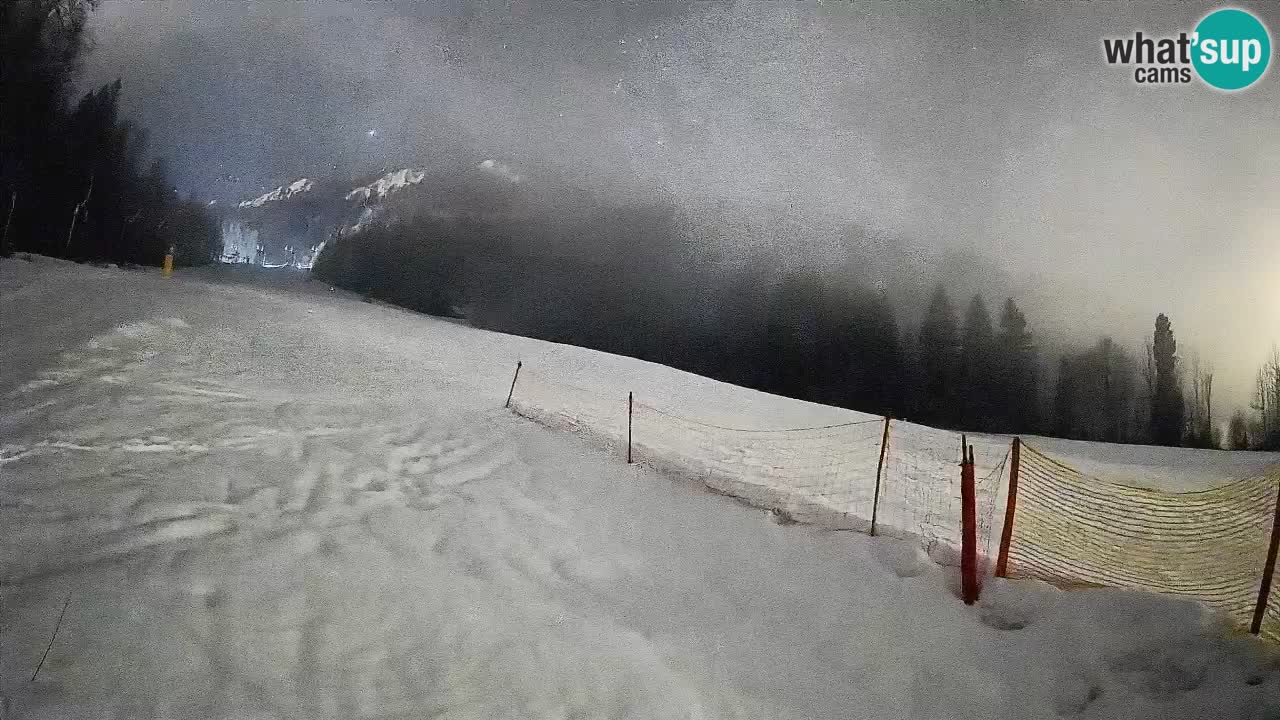 Ski Kranjska Gora | Brsnina