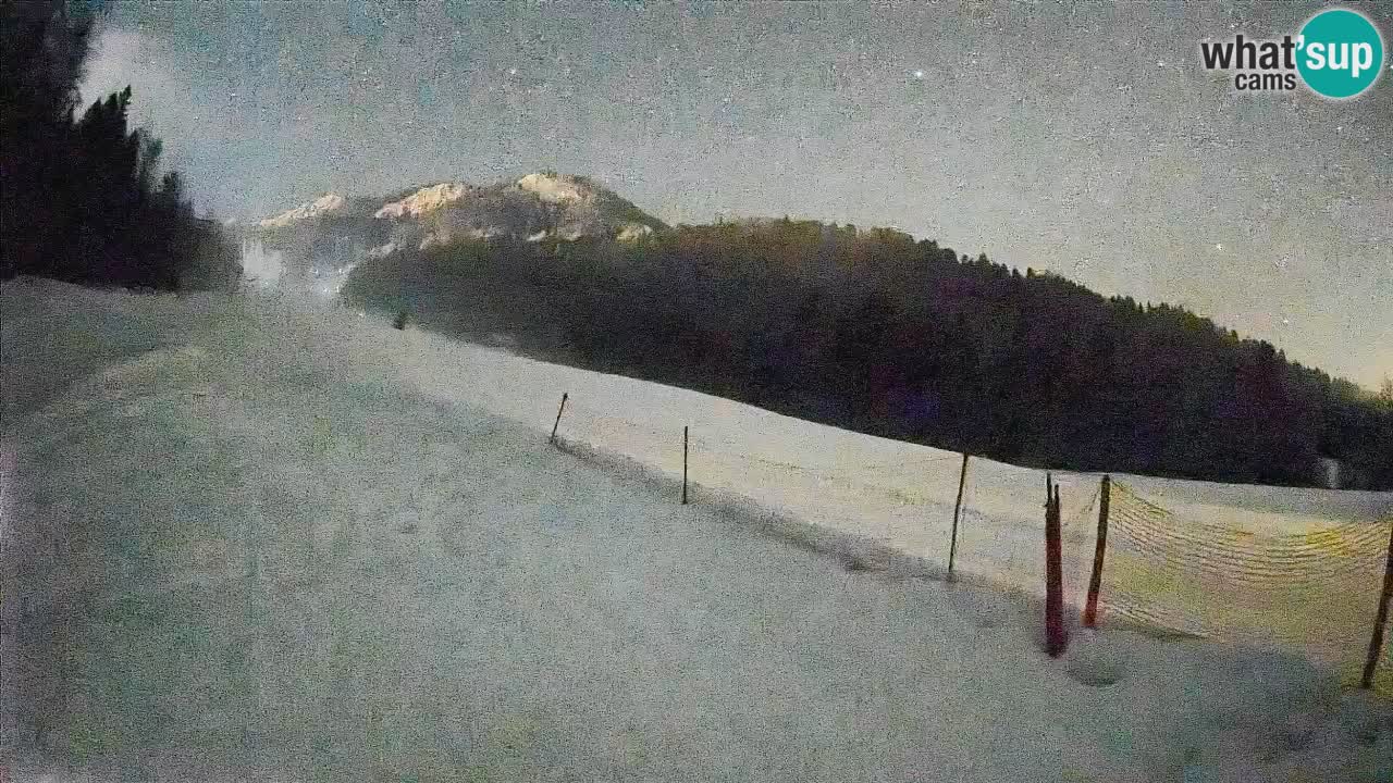 RTC Kranjska Gora | Brsnina