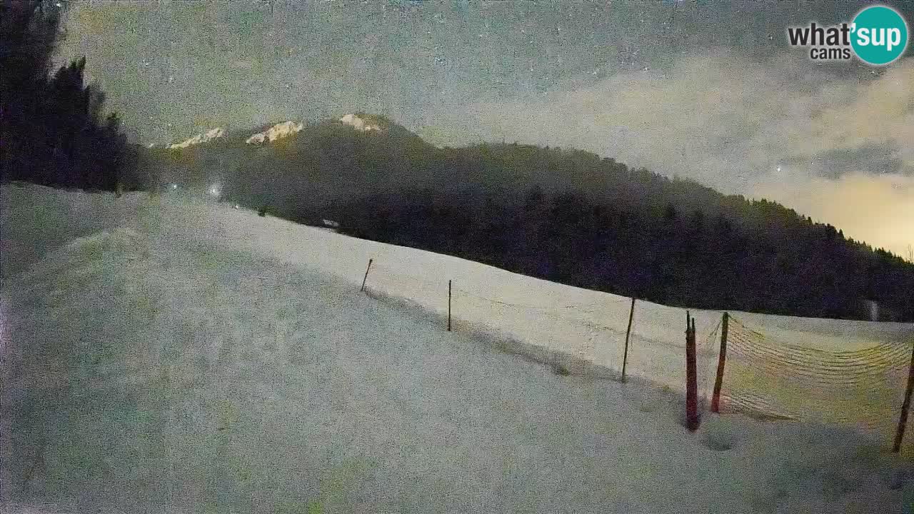 Kranjska Gora Station de ski | Brsnina