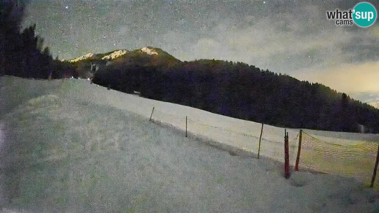 Ski Kranjska Gora | Brsnina