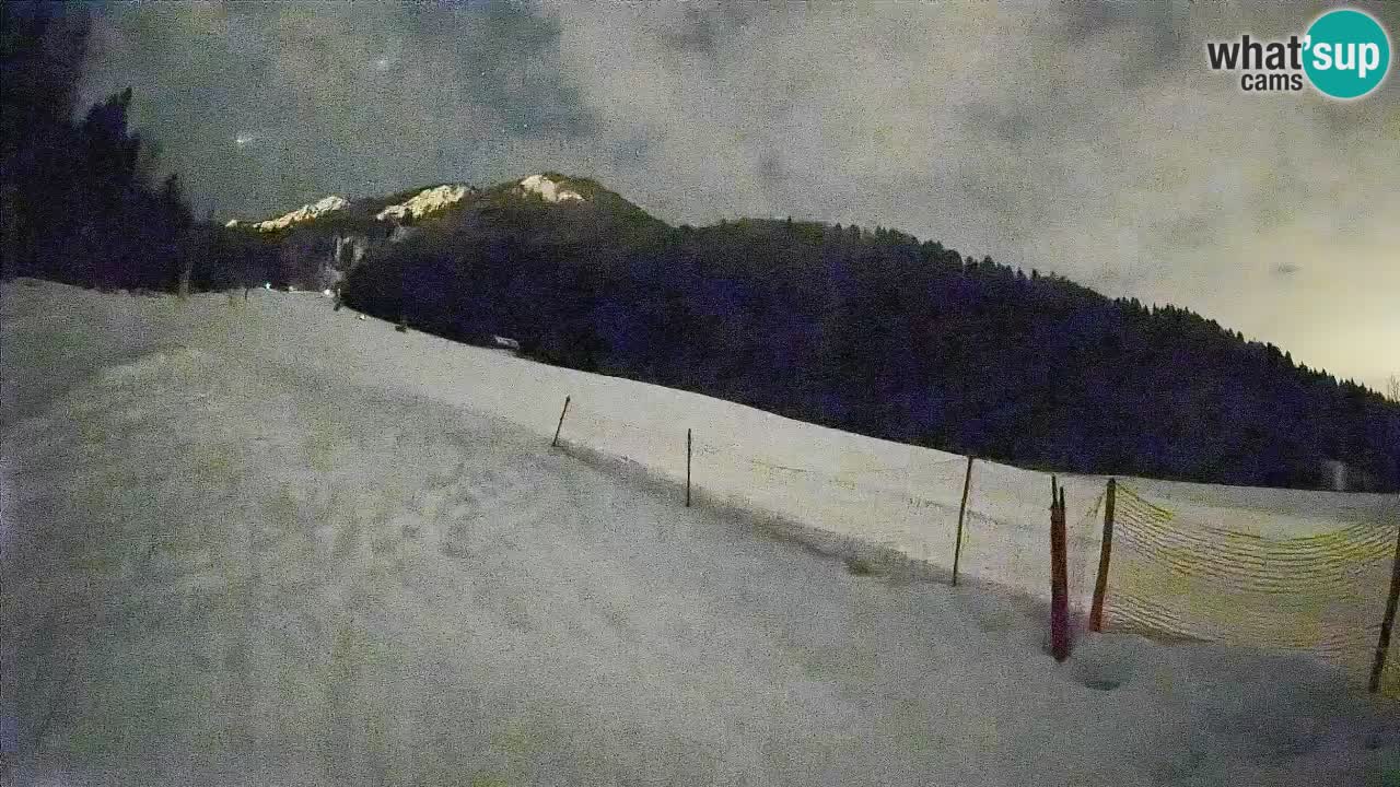 Ski Kranjska Gora | Brsnina