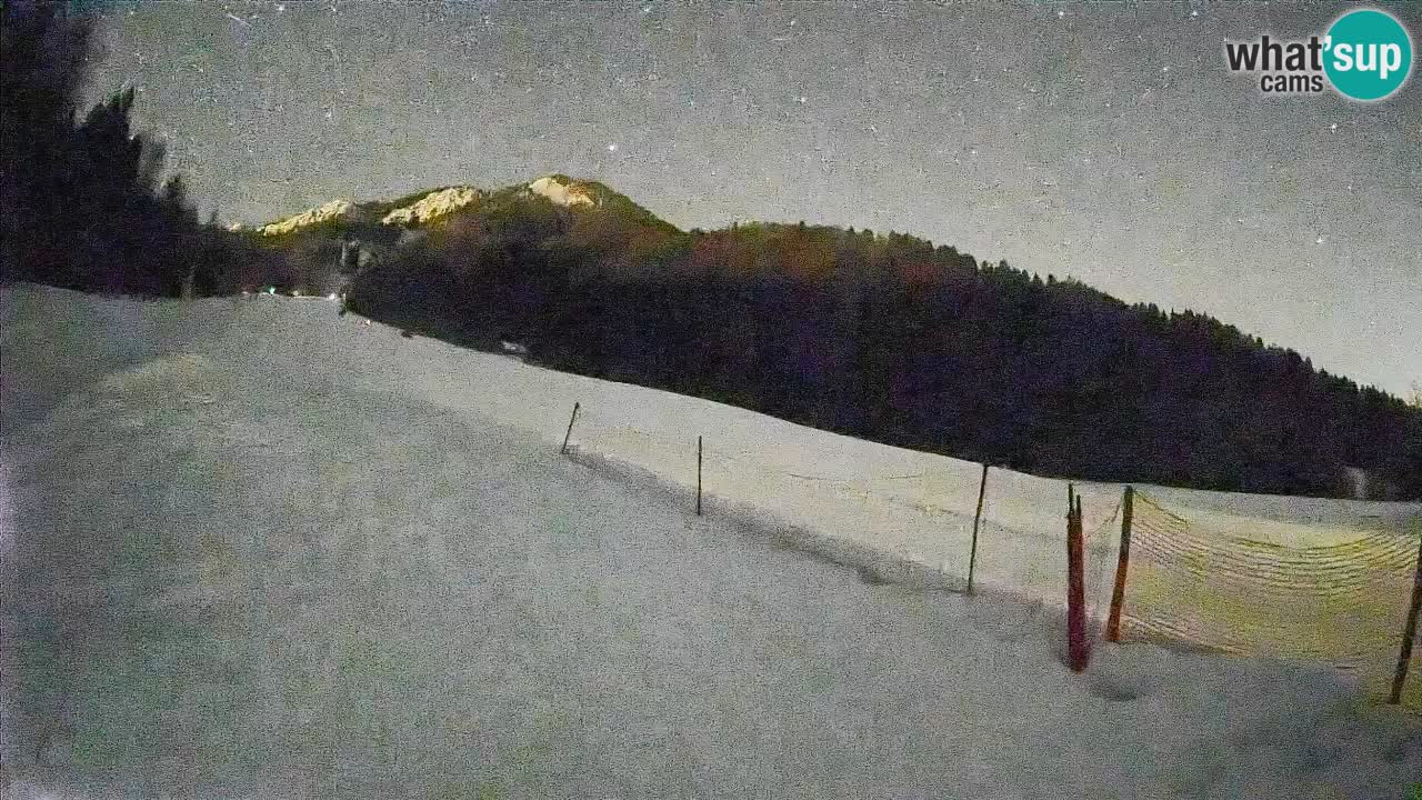 Kranjska Gora Station de ski | Brsnina