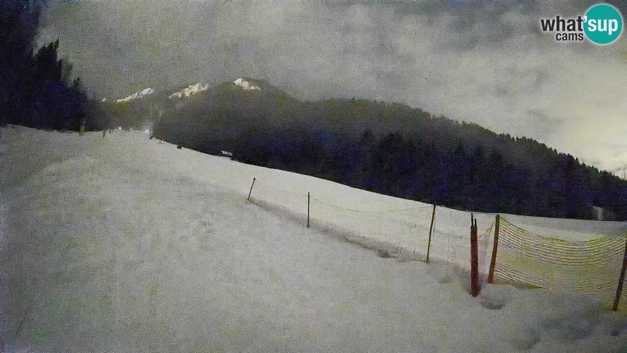Kranjska Gora SKIJANJE | Brsnina