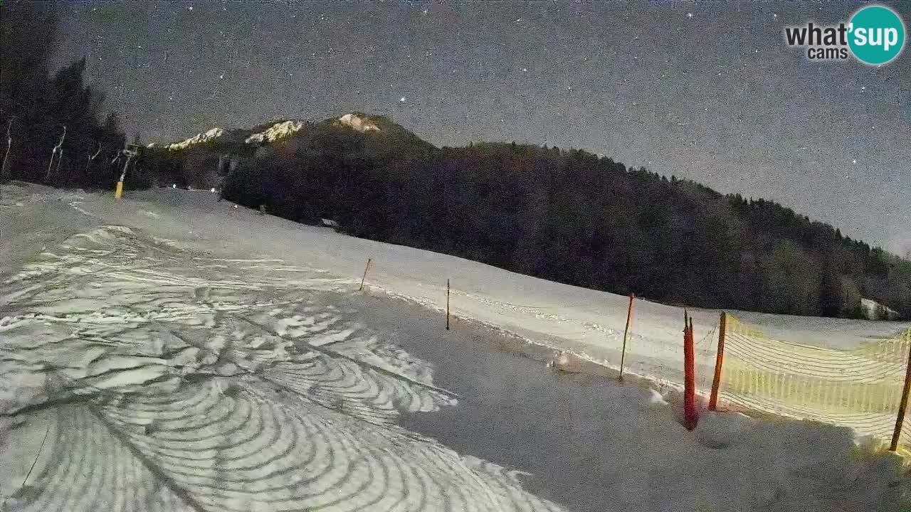 Comprensorio sciistico Kranjska Gora | Brsnina