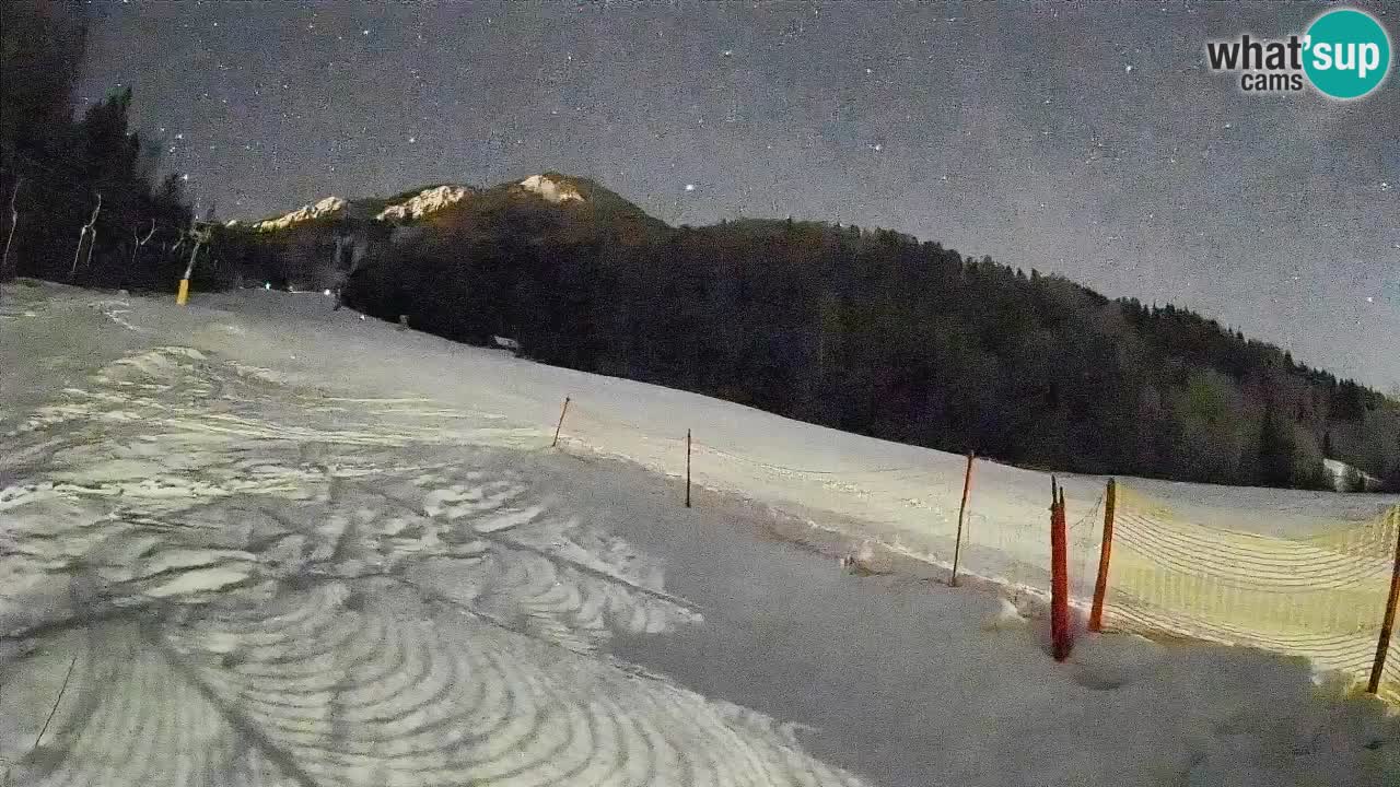 Kranjska Gora SKIJANJE | Brsnina