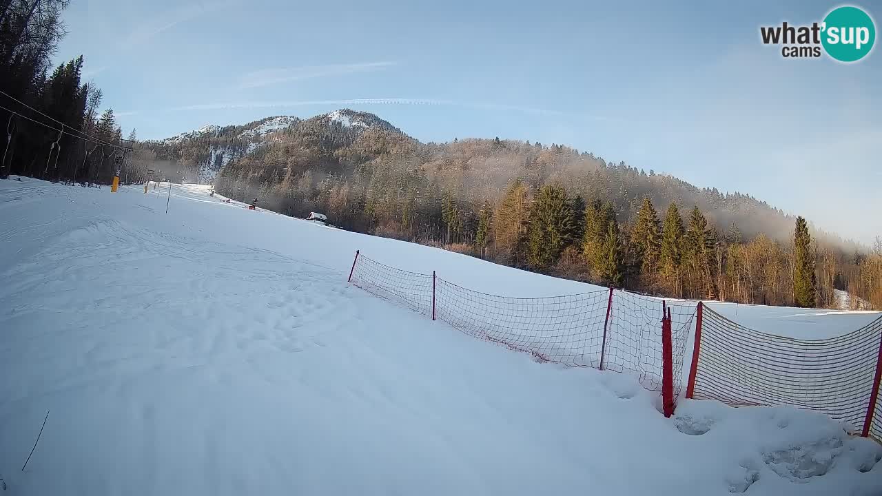 Kranjska Gora Station de ski | Brsnina