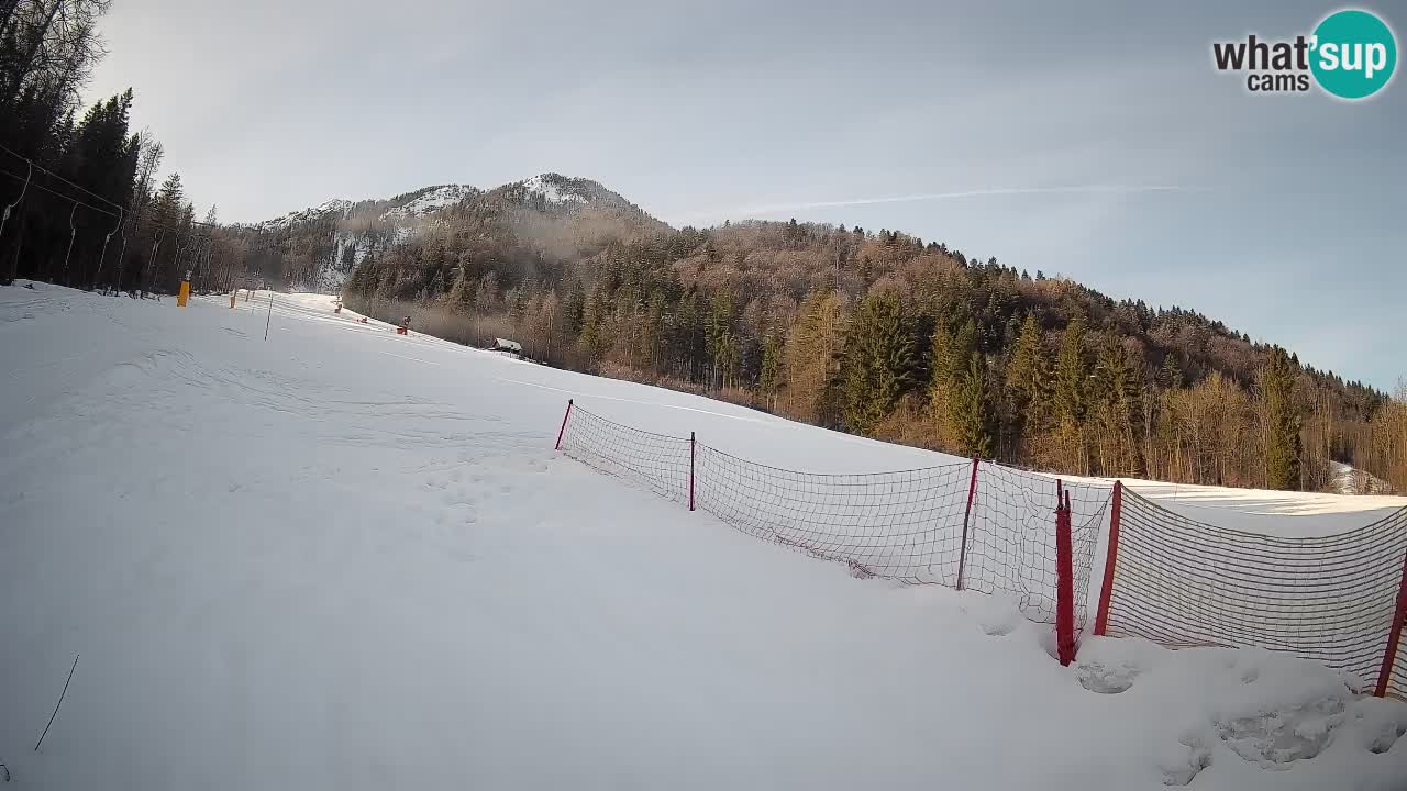 Comprensorio sciistico Kranjska Gora | Brsnina