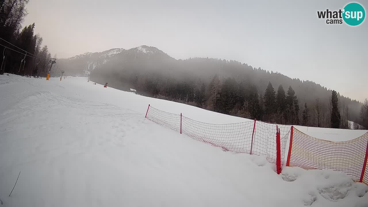 Esquí Kranjska Gora | Brsnina
