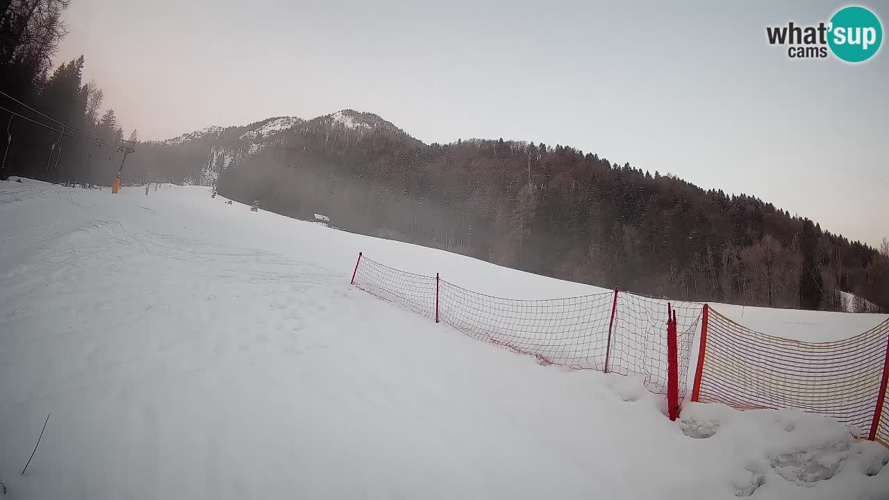 RTC Skigebiet Kranjska Gora | Brsnina