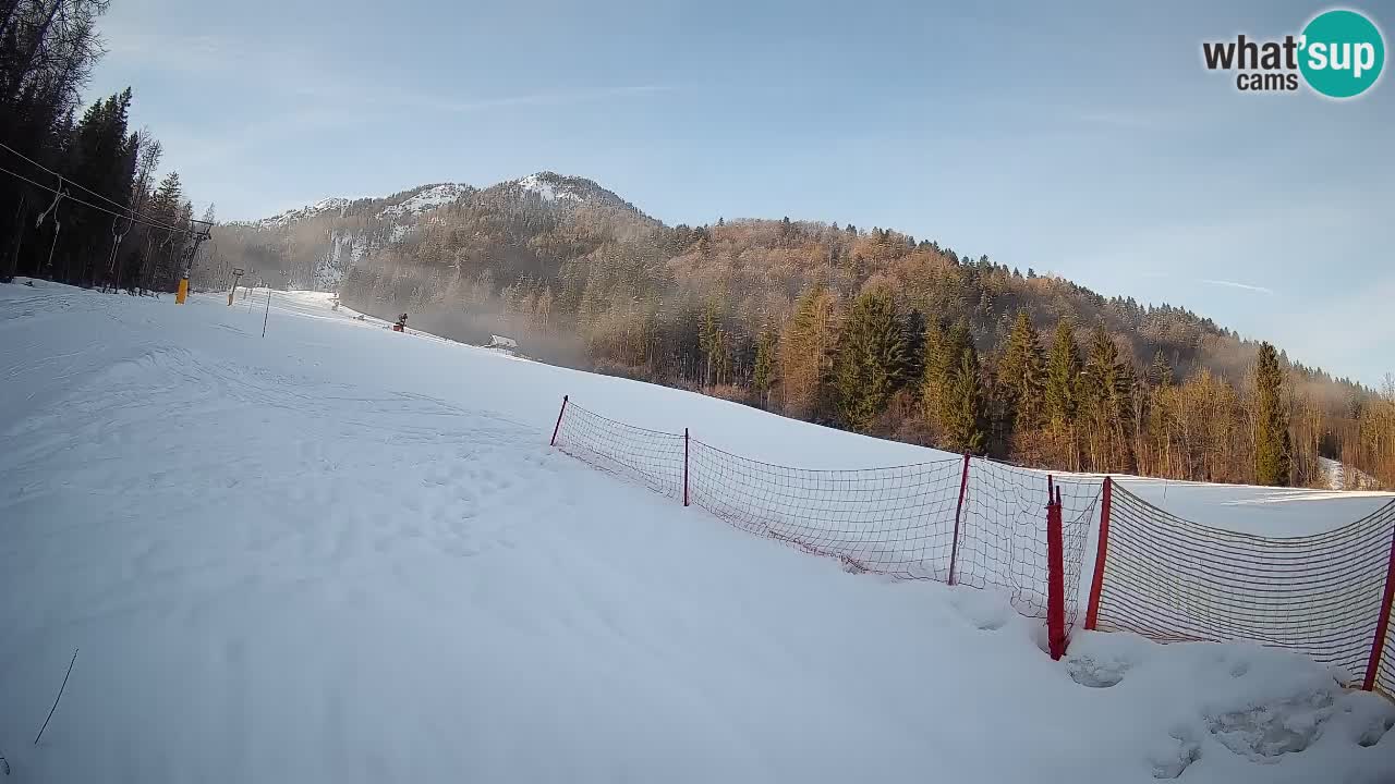 RTC Skigebiet Kranjska Gora | Brsnina