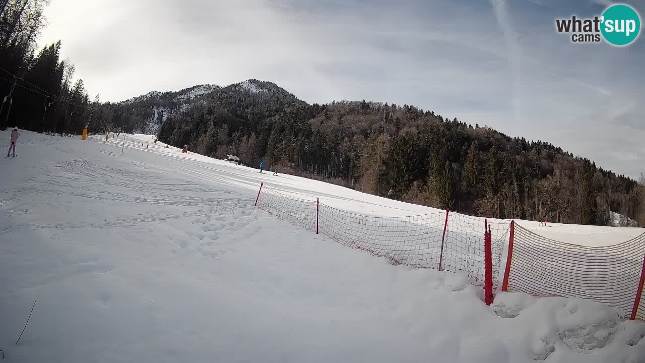 Ski Kranjska Gora | Brsnina