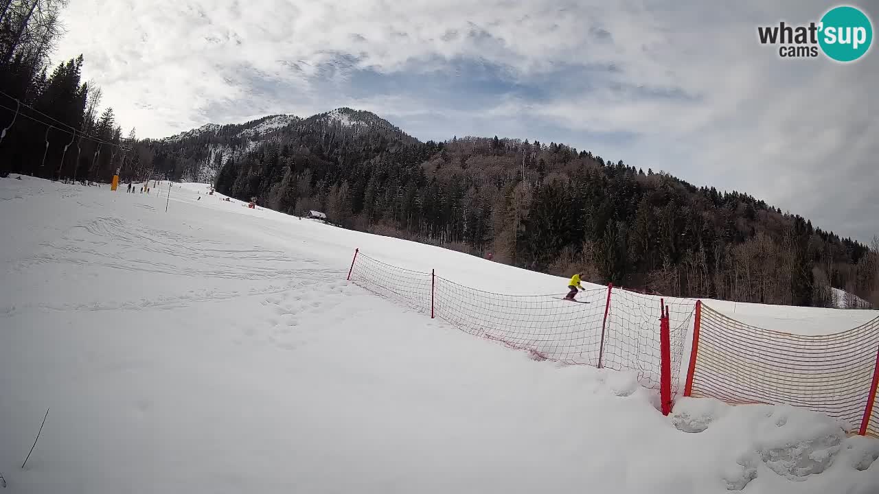 Kranjska Gora SKIJANJE | Brsnina