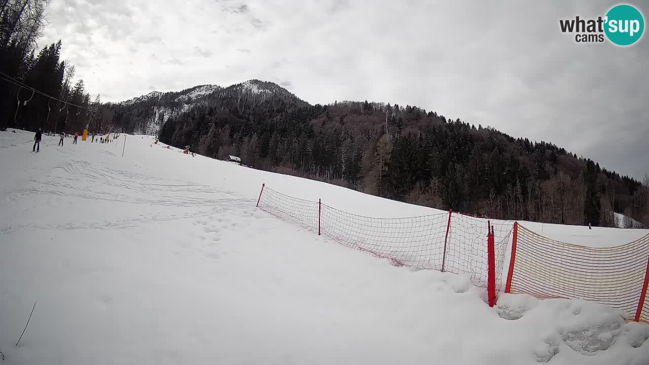 Kranjska Gora Station de ski | Brsnina