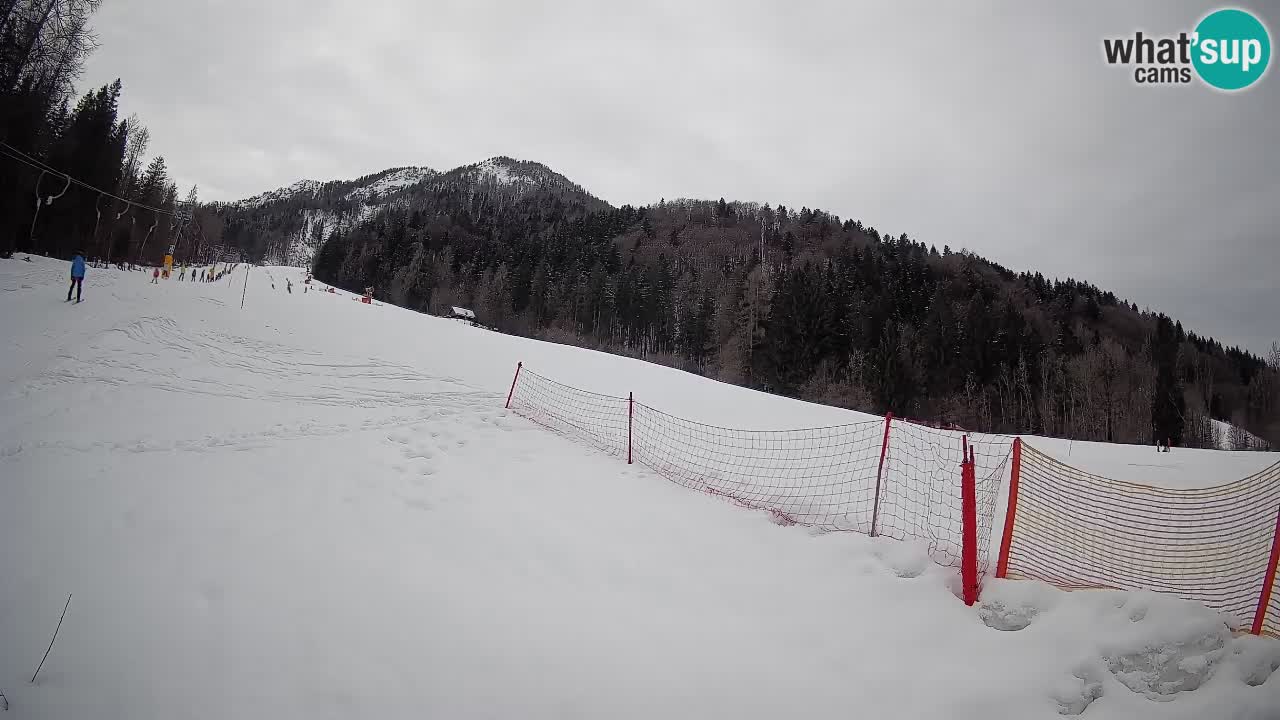Ski Kranjska Gora | Brsnina