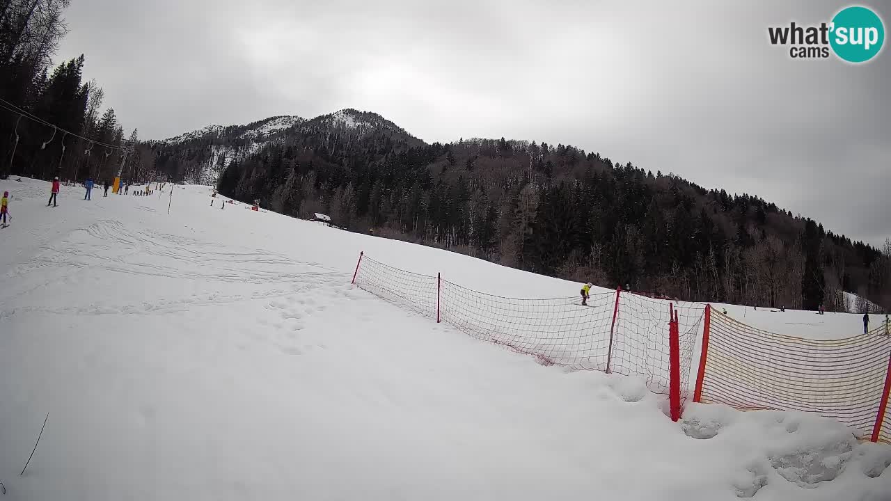 Ski Kranjska Gora | Brsnina