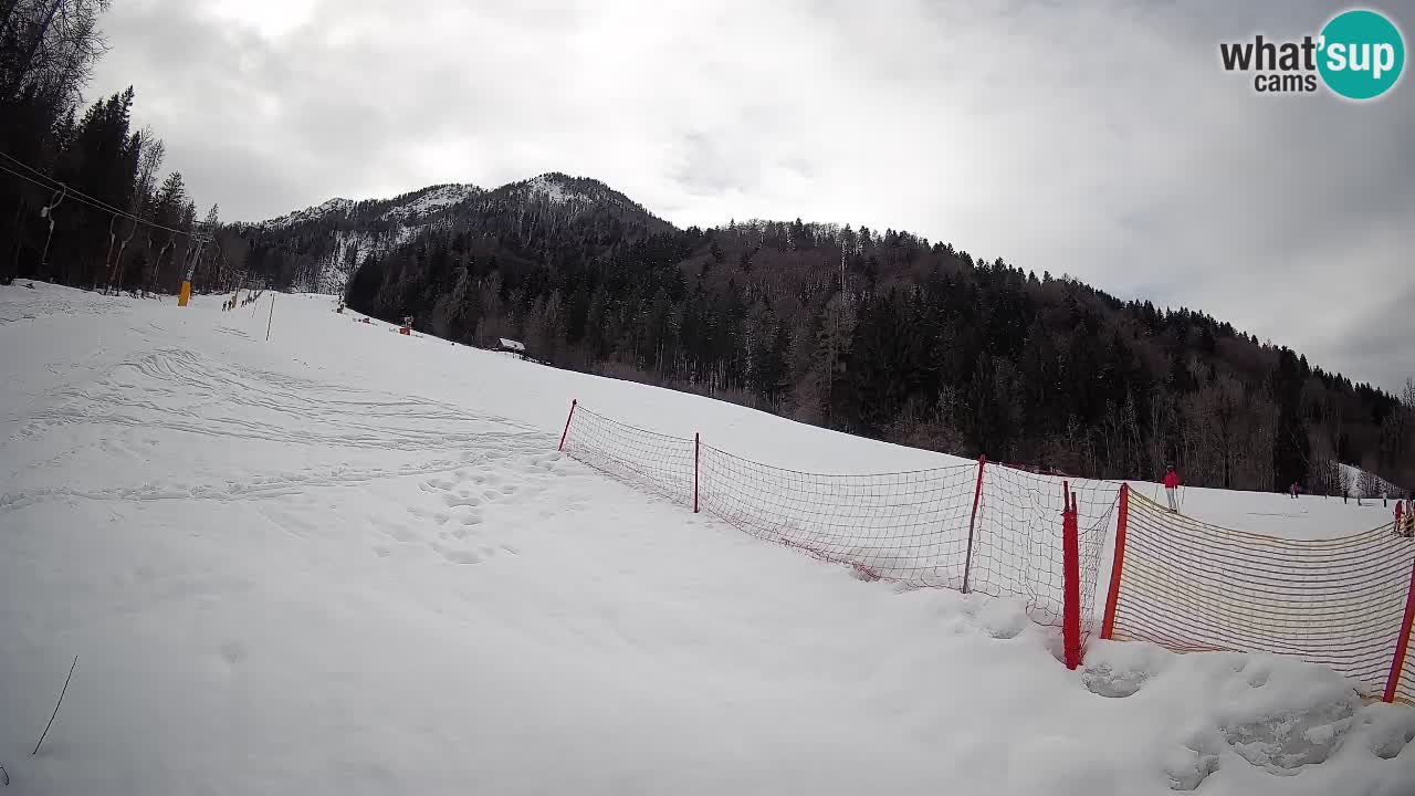 RTC Skigebiet Kranjska Gora | Brsnina