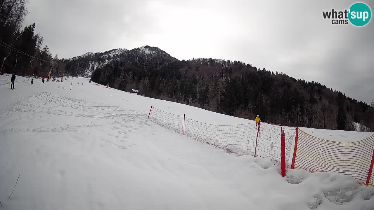 Esquí Kranjska Gora | Brsnina