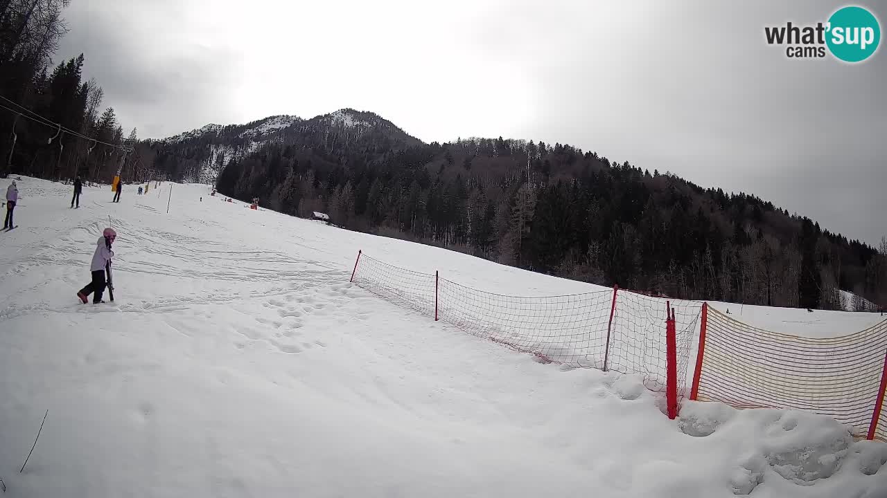 RTC Skigebiet Kranjska Gora | Brsnina