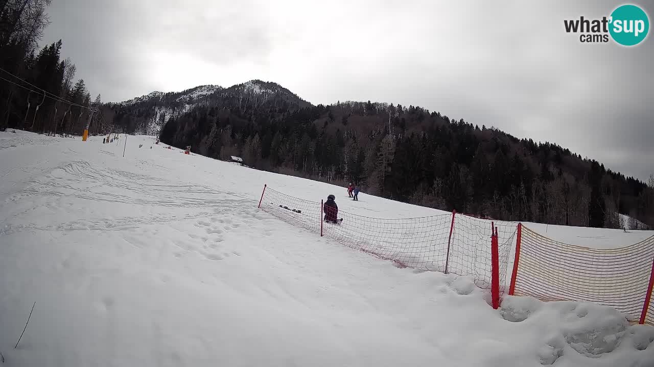 Ski Kranjska Gora | Brsnina