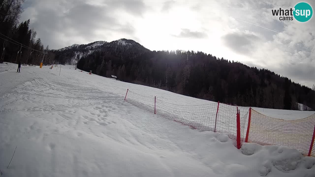 Esquí Kranjska Gora | Brsnina
