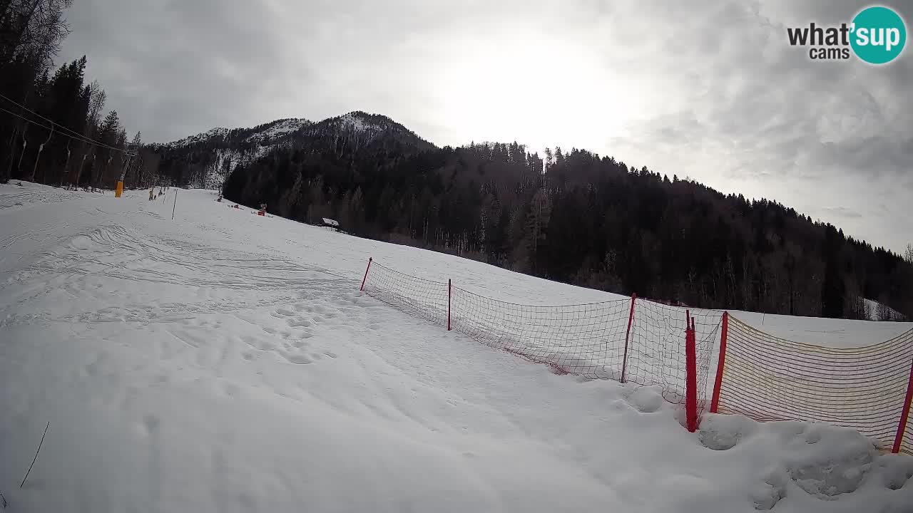 Comprensorio sciistico Kranjska Gora | Brsnina