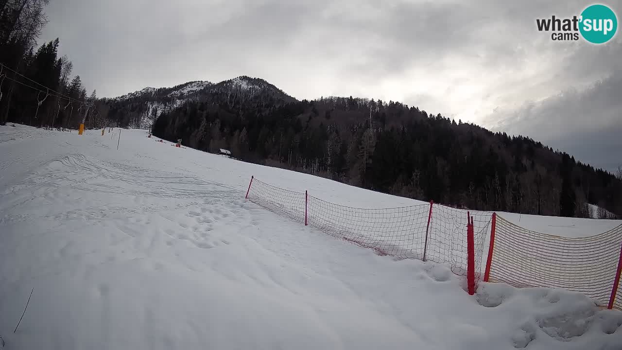 Comprensorio sciistico Kranjska Gora | Brsnina