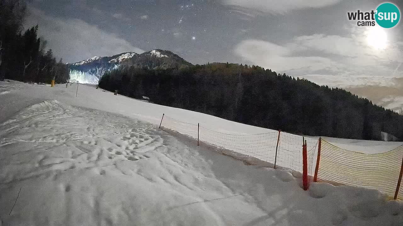 Comprensorio sciistico Kranjska Gora | Brsnina