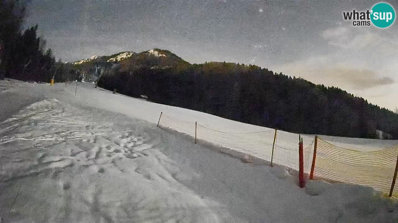 Ski Kranjska Gora | Brsnina