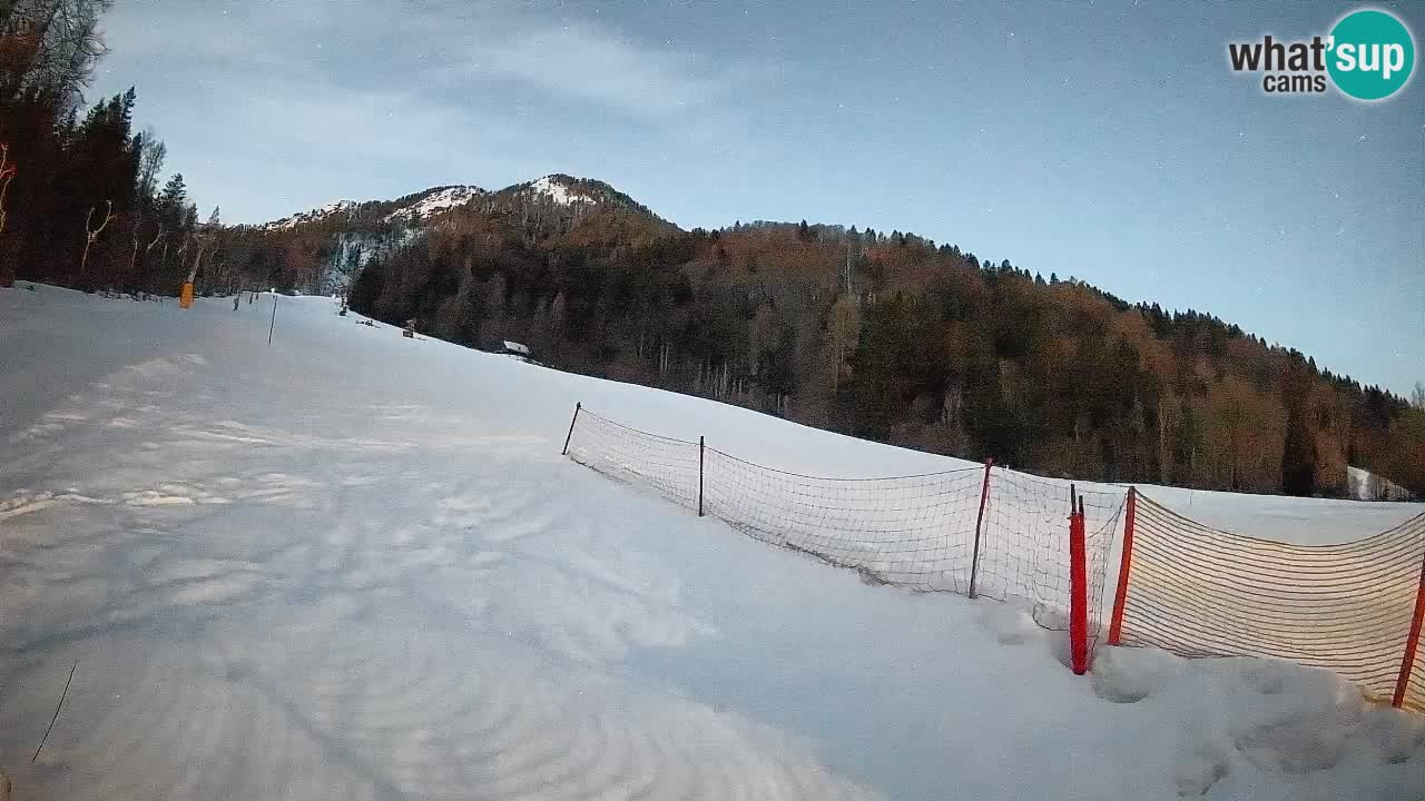 RTC Kranjska Gora | Brsnina