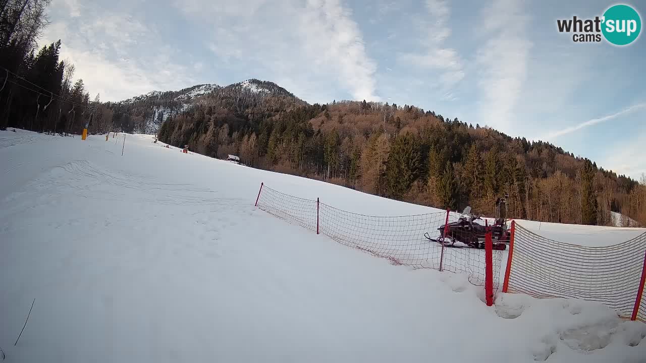 RTC Kranjska Gora | Brsnina