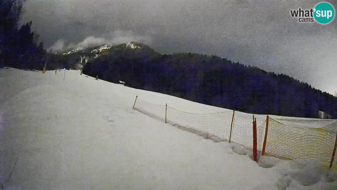 Ski Kranjska Gora | Brsnina