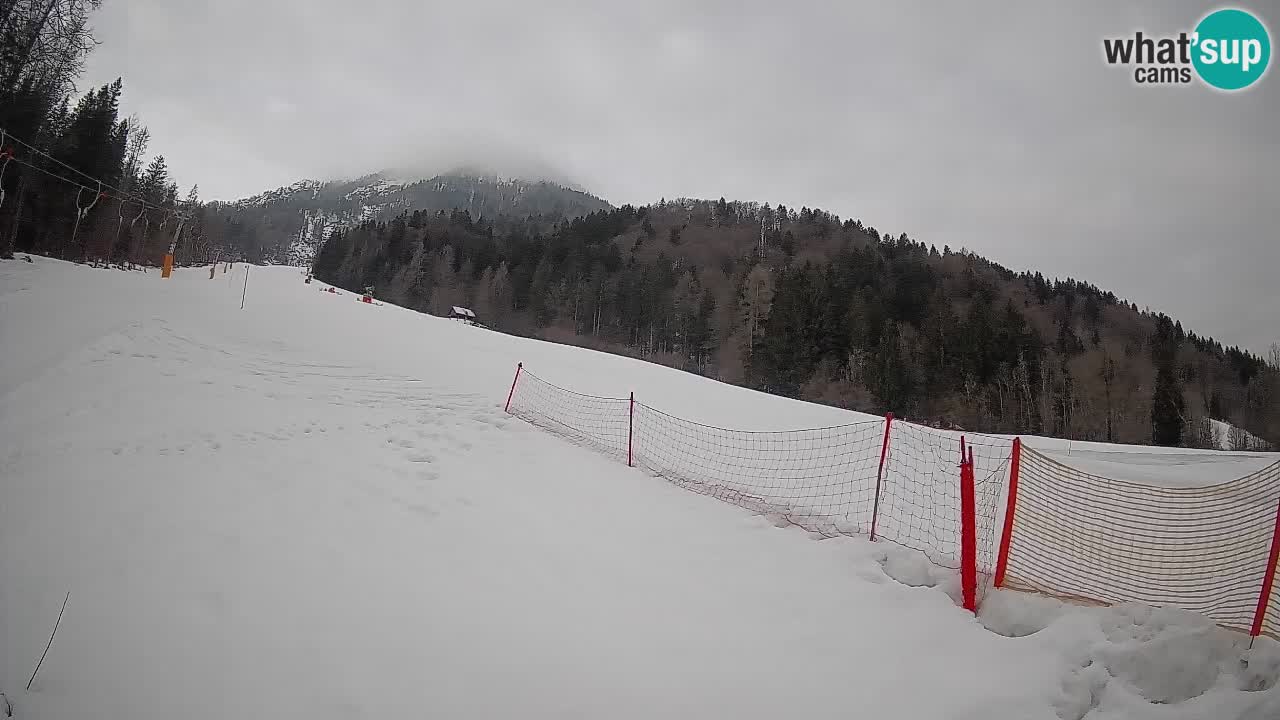 Ski Kranjska Gora | Brsnina
