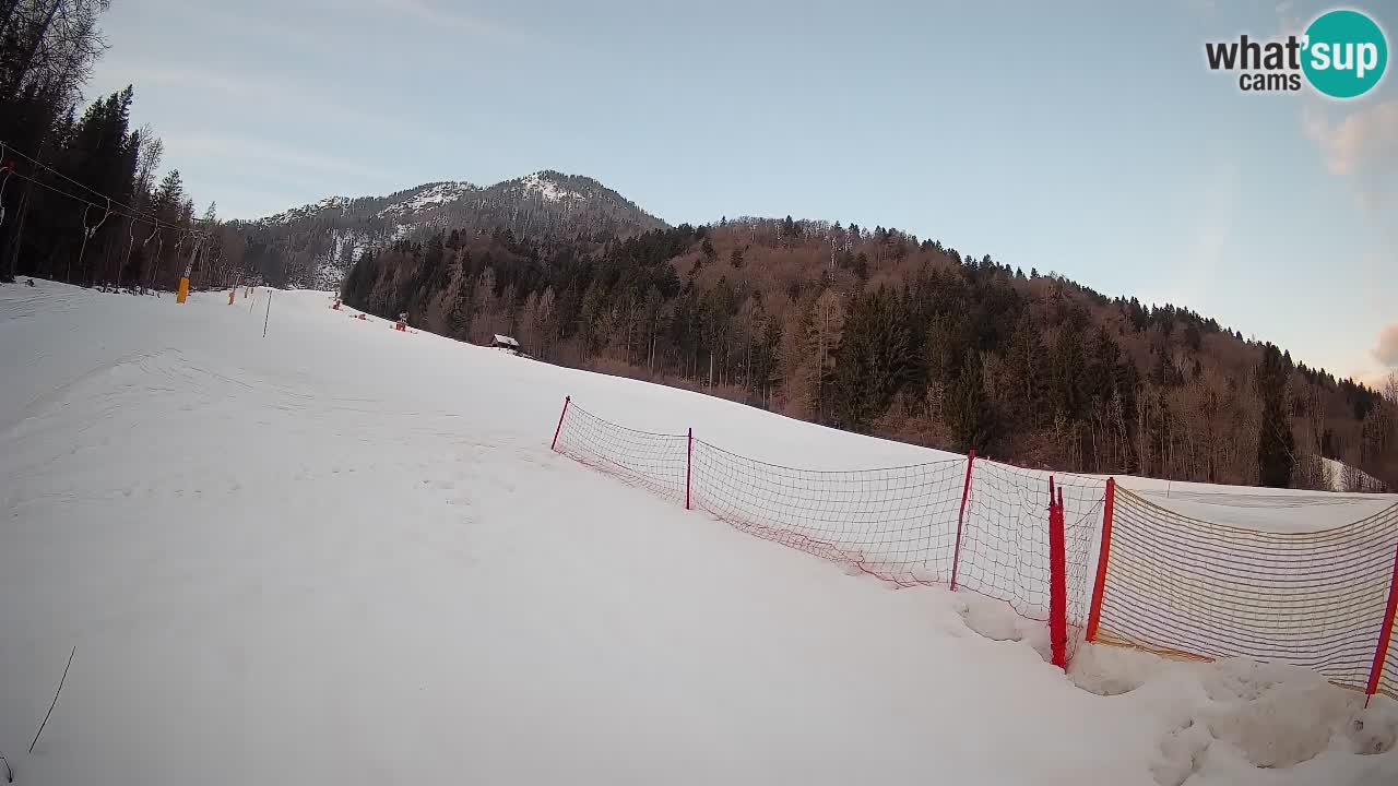 RTC Kranjska Gora | Brsnina