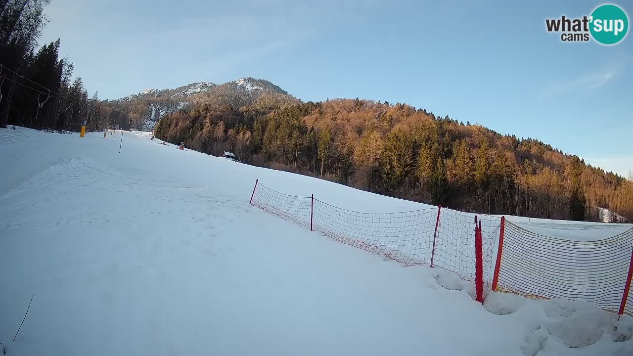 Comprensorio sciistico Kranjska Gora | Brsnina